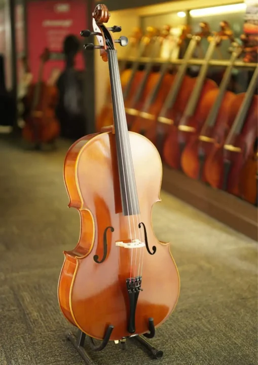 Cello Model 6 Front