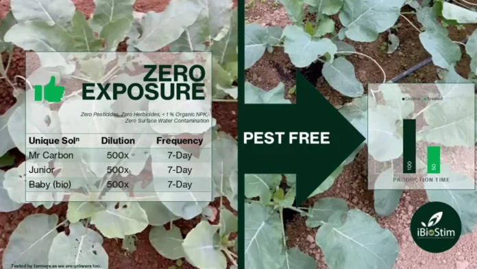 iBioStim Cauli Pest Free, a solution in agri-biotech.