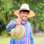 图片来源：Canva | 越南榴莲出口合规问题