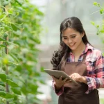 图片来源:Canva | 东盟农业科技正推动更智能、更具气候韧性的食品体系发展